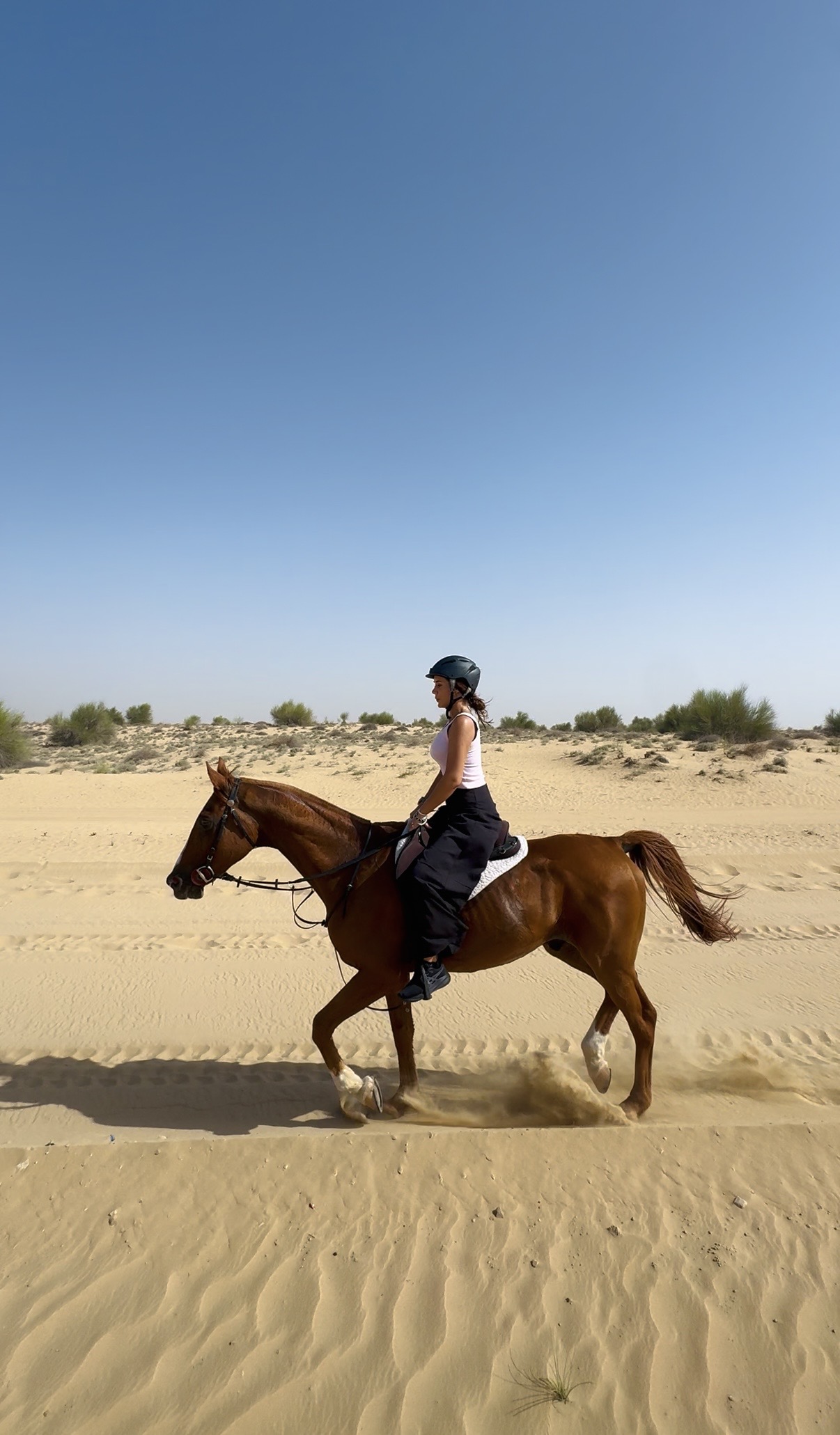 nómada digital en caballo en el desierto